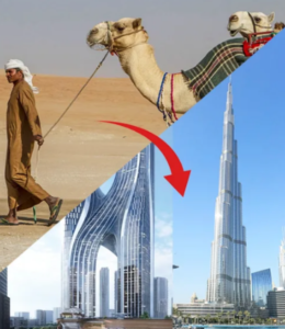 Dubai Real Estate Market 1